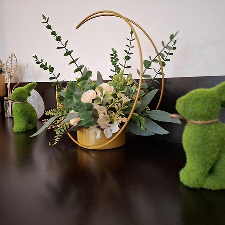 Apartament Aleea Minerva ブラショフ エクステリア 写真
