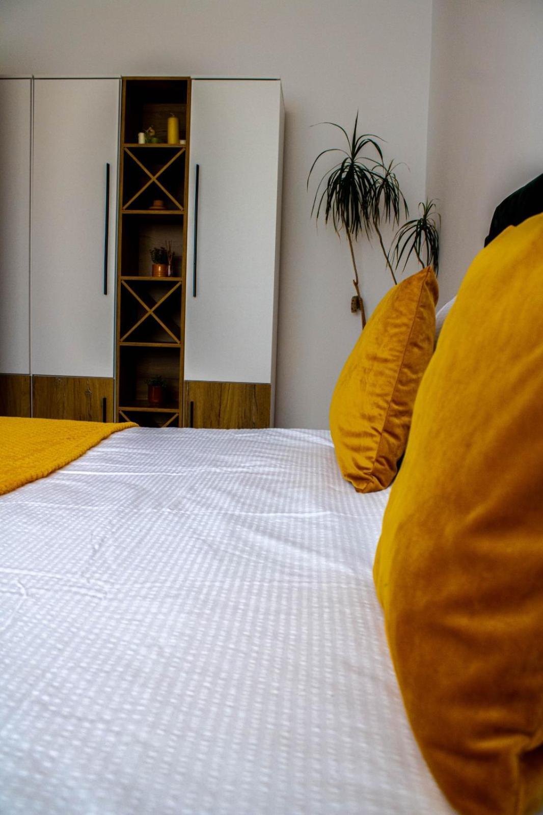 Apartament Aleea Minerva ブラショフ エクステリア 写真