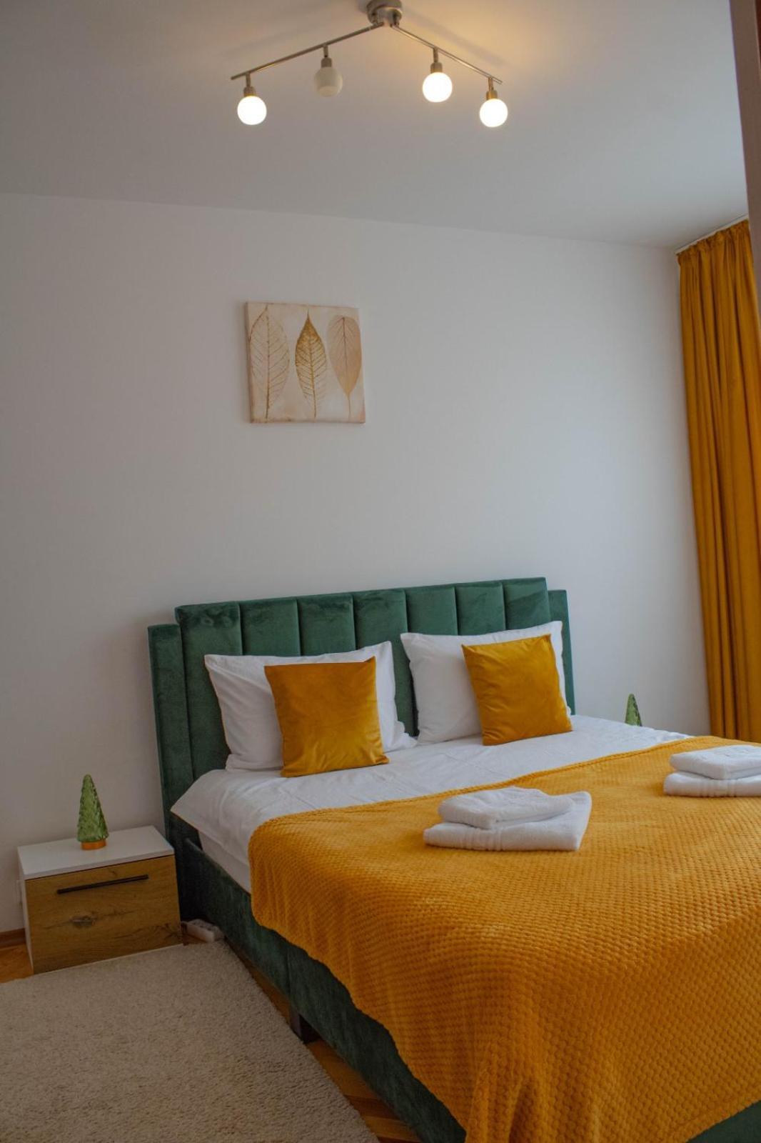 Apartament Aleea Minerva ブラショフ エクステリア 写真