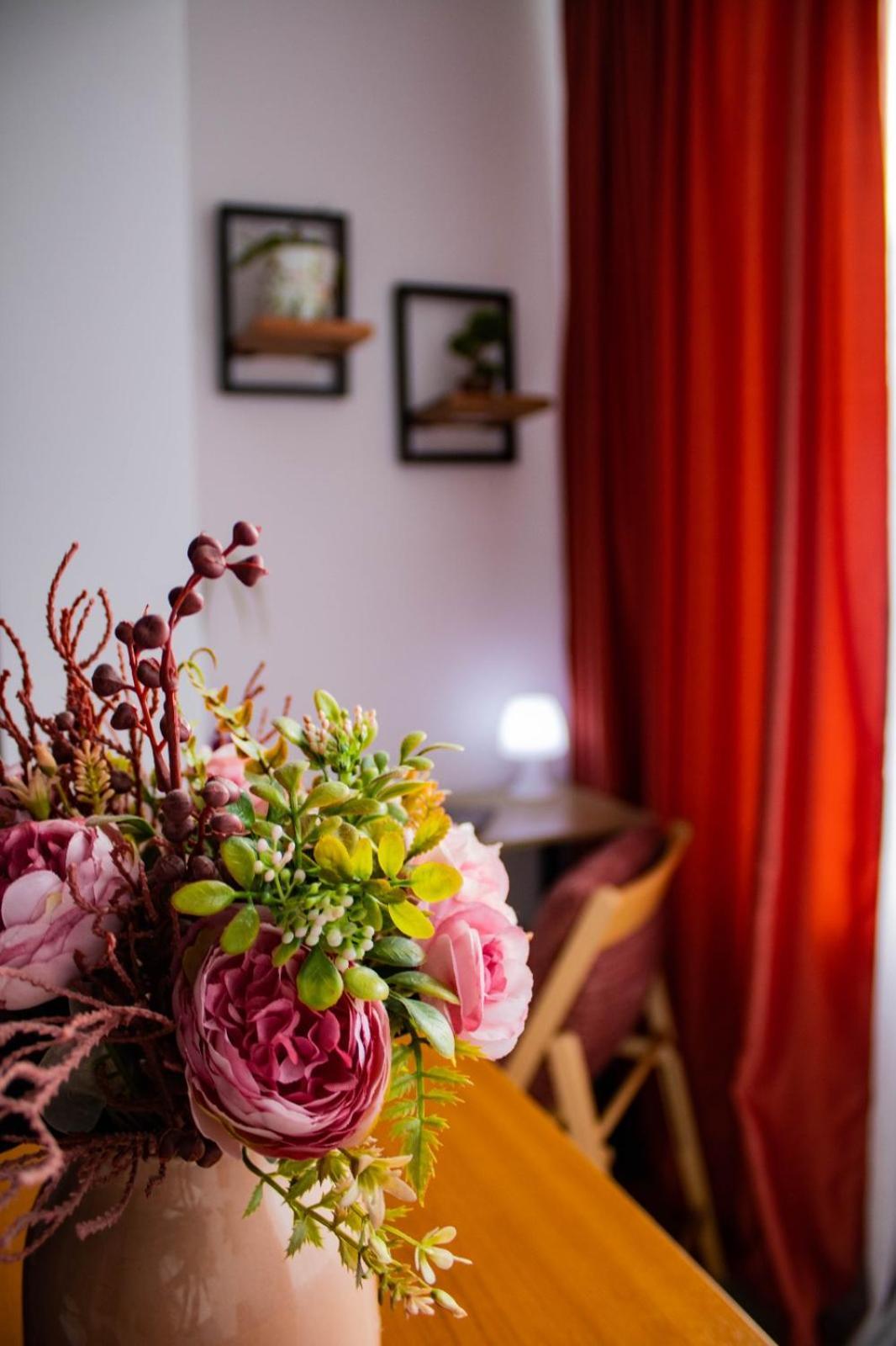 Apartament Aleea Minerva ブラショフ エクステリア 写真