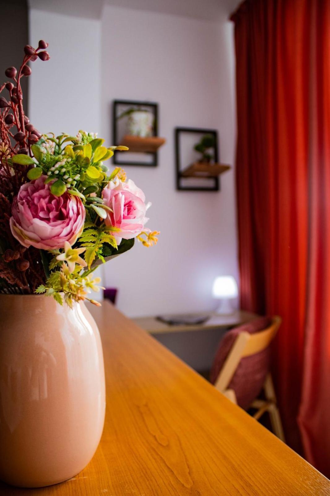 Apartament Aleea Minerva ブラショフ エクステリア 写真