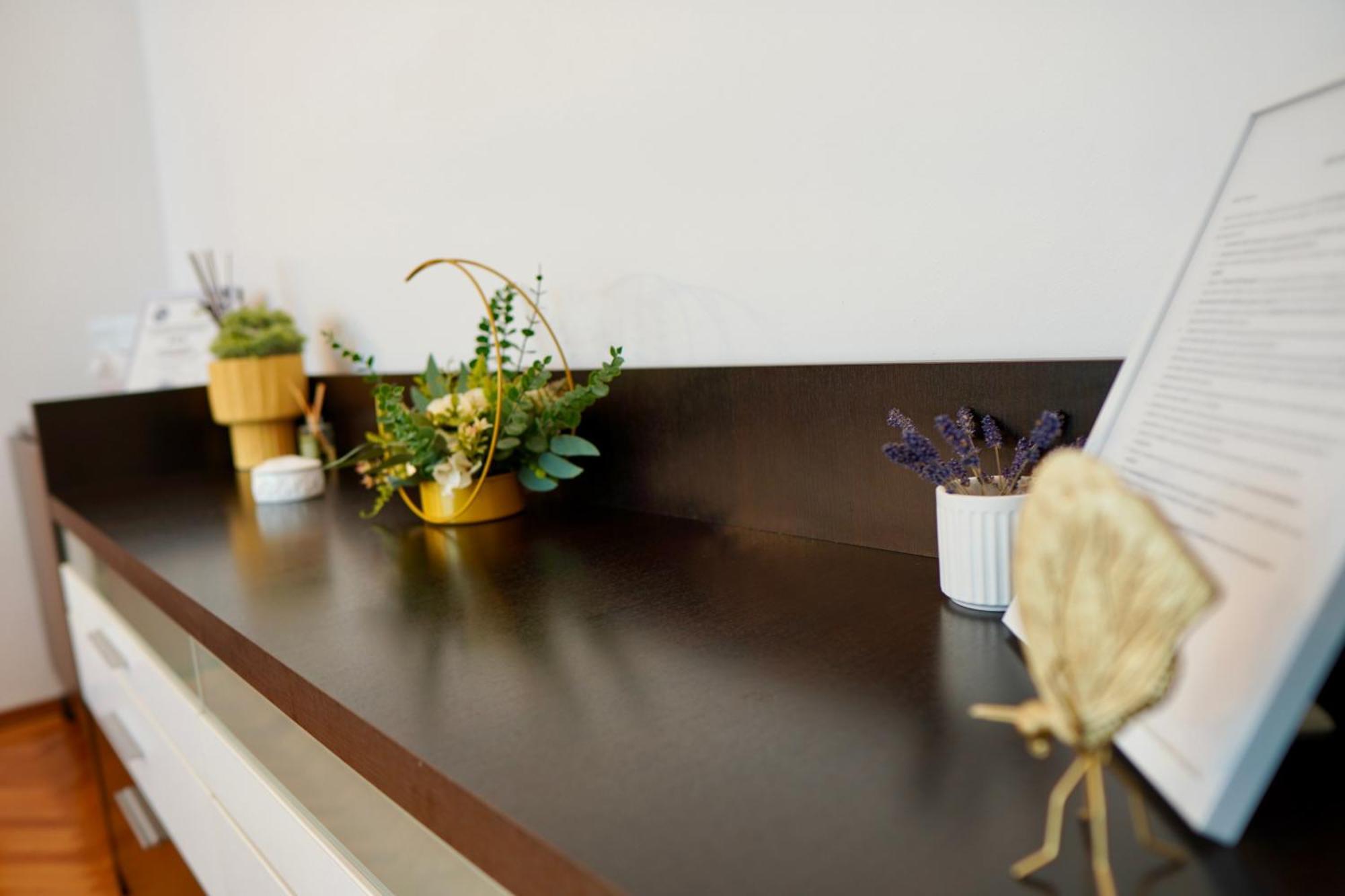 Apartament Aleea Minerva ブラショフ エクステリア 写真