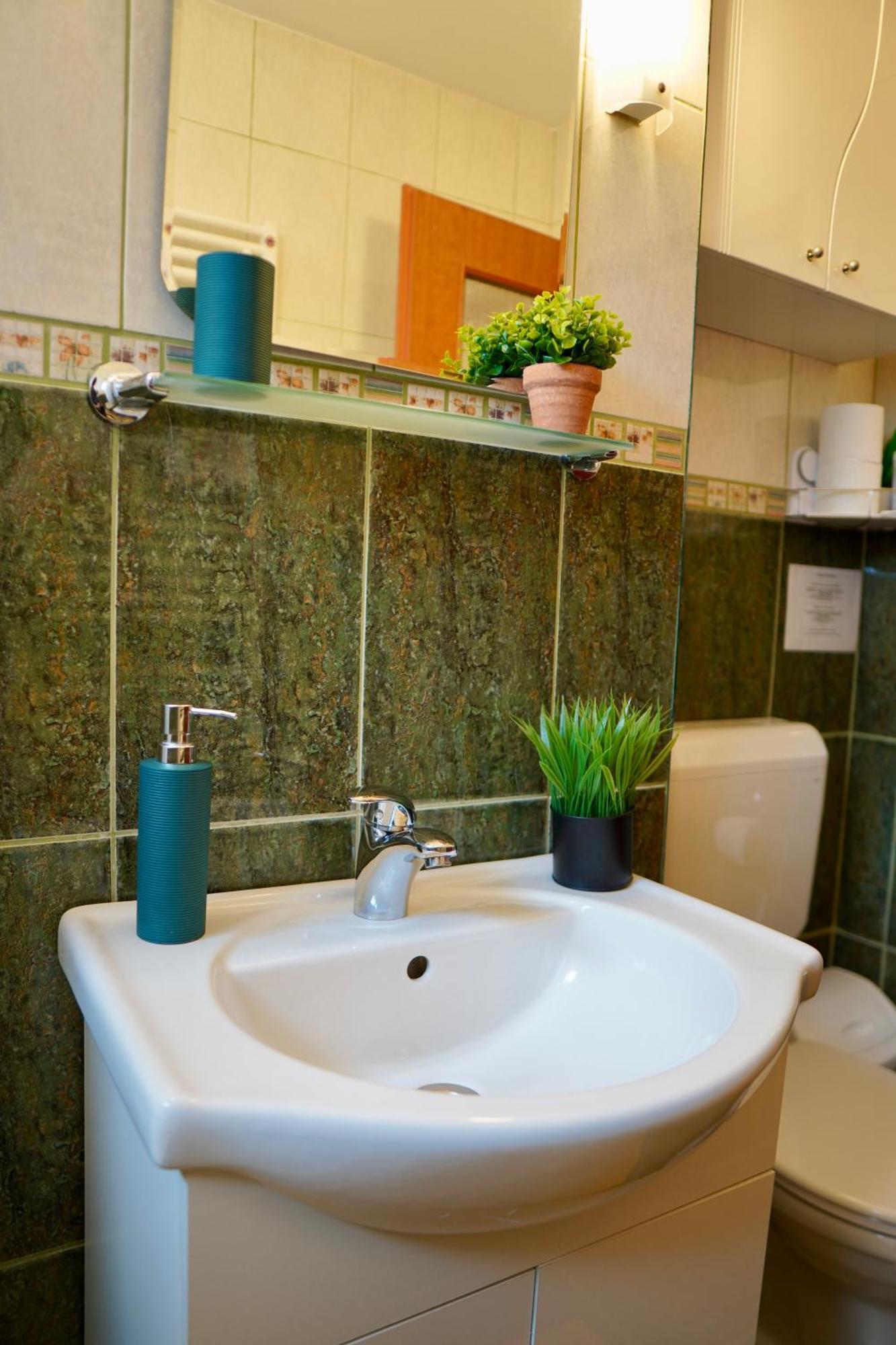 Apartament Aleea Minerva ブラショフ エクステリア 写真