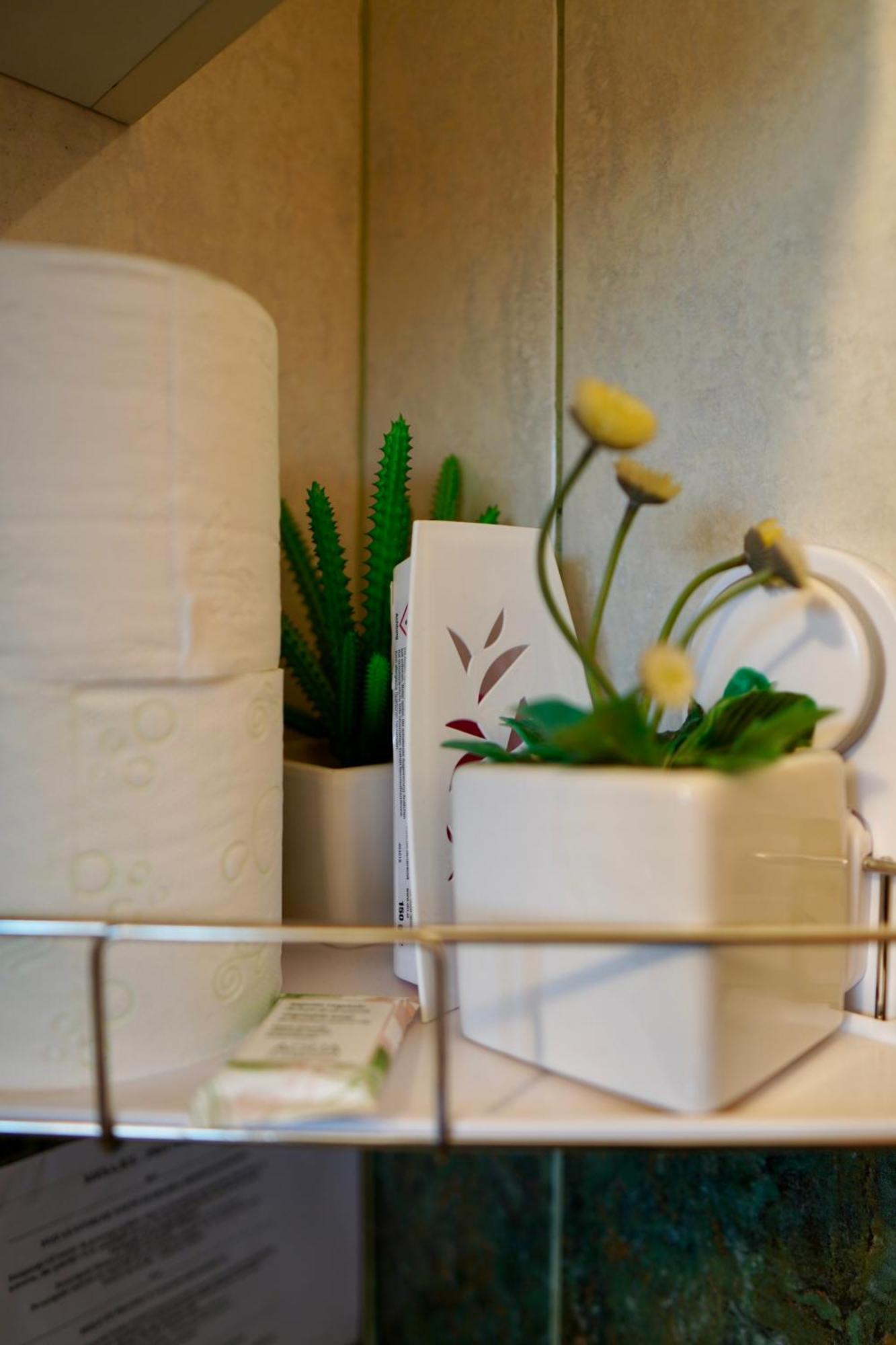 Apartament Aleea Minerva ブラショフ エクステリア 写真