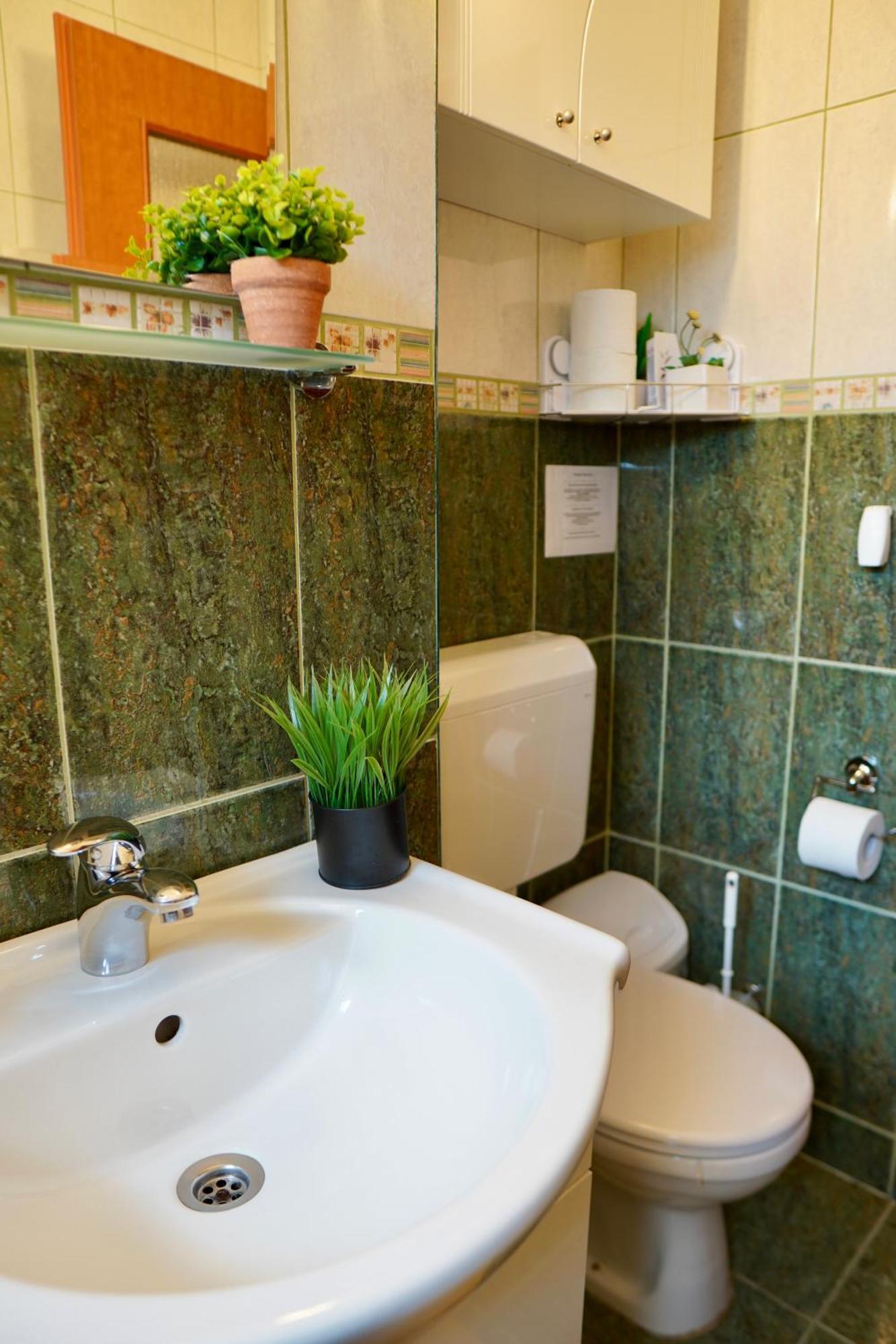 Apartament Aleea Minerva ブラショフ エクステリア 写真